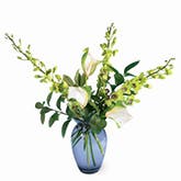 Envious Green Orchid Arrangement