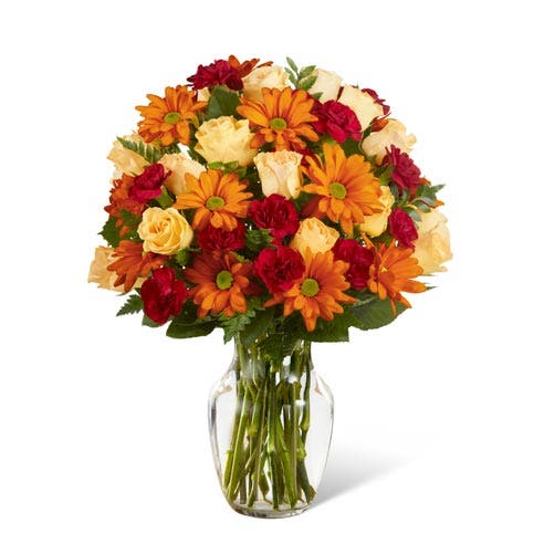 Sweet Poses of Orange Roses