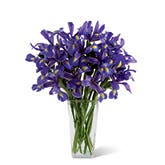 Blue Iris Treasures Bouquet
