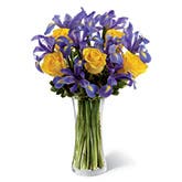 Yellow Roses And Purple Iris