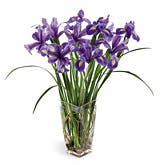 Stately Iris Bouquet