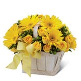 Sunshine Yellow Daisy Bouquet
