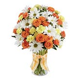 Honeyed Daisies Bouquet