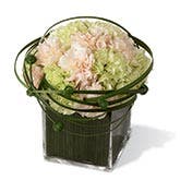 Green Carnation Bouquet