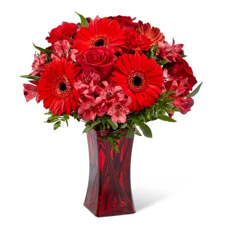 Ravishing Red Gerbera Bouquet