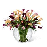 Luxury Calla Lily Bouquet