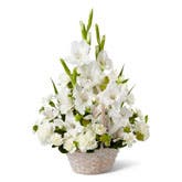 White Peruvian Lily Flower Basket