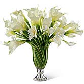 Graceful Calla Lily Bouquet