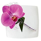 Fuchsia Orchid Boutonniere