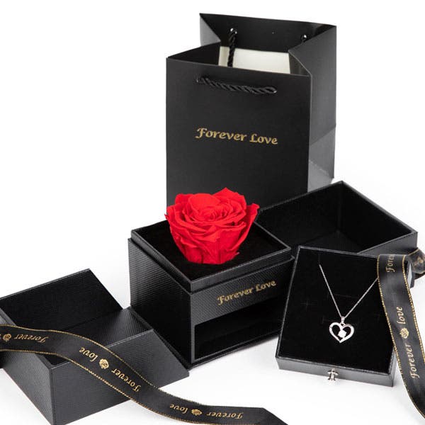 Forever Love Rose & Necklace Gift Set