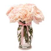 Pearly Pink Carnation Bouquet