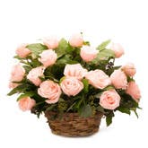 Light Pink Rose Basket