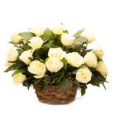 Yellow Rose Basket