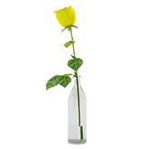 Single Yellow Rose Delivery