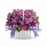 Daydreams Purple Rose Basket
