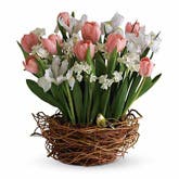 Pink Tulip Bouquet With Songbird