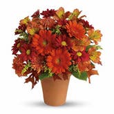 Golden Glow Gerbera Daisy Bouquet