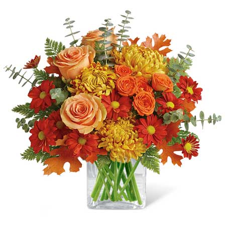 Wild Fall Flower Bouquet At Send Flowers,Small Monkey For Sale