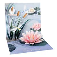 Sympathy Pop Up Card