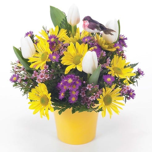 Yellow daisies, purple flowers and white tulips for the cheapest flower delivery