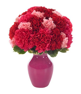 Hot pink carnations arranged with light pink carnations in a pink vase