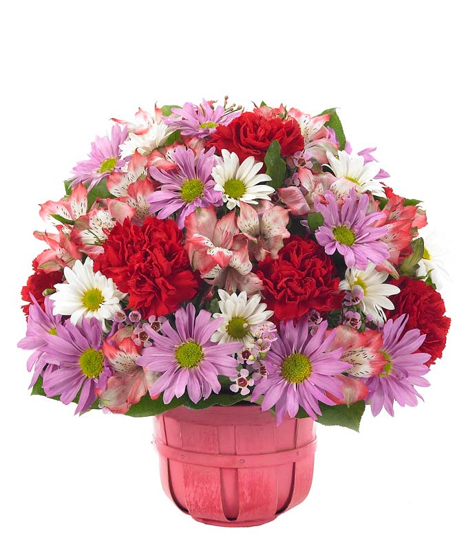 Pink daisies, purple waxflower, pink alstroemeria and more delivered in pink basket