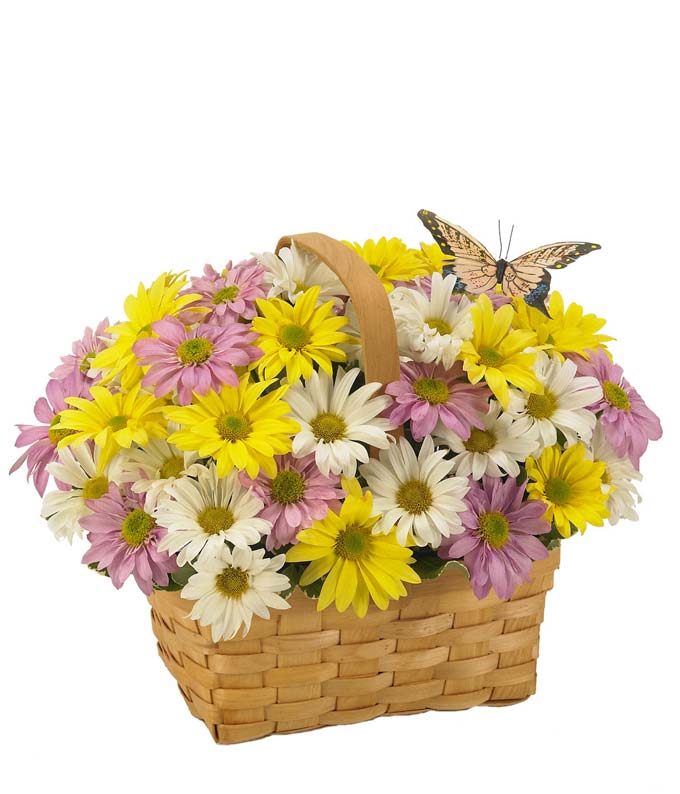 Daisy basket with purple and yellow flowers and a butterfly decoration