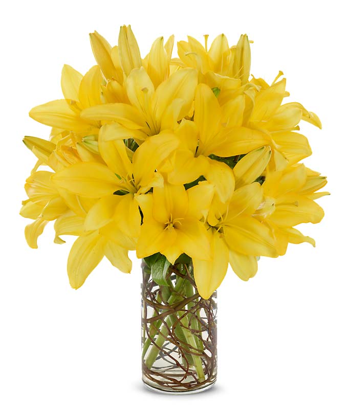 Yellow lilies in a large arrangement in a cylinder vase