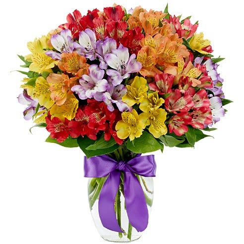 Alstroemeria Rainbow Bouquet