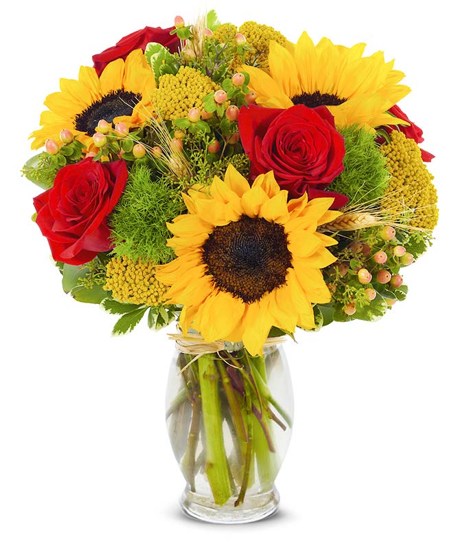 Red roses delivered with sunflowers and hypericum berries in vase