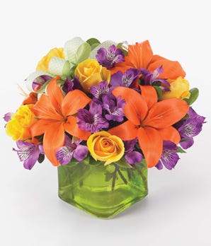 Joyful Blooms