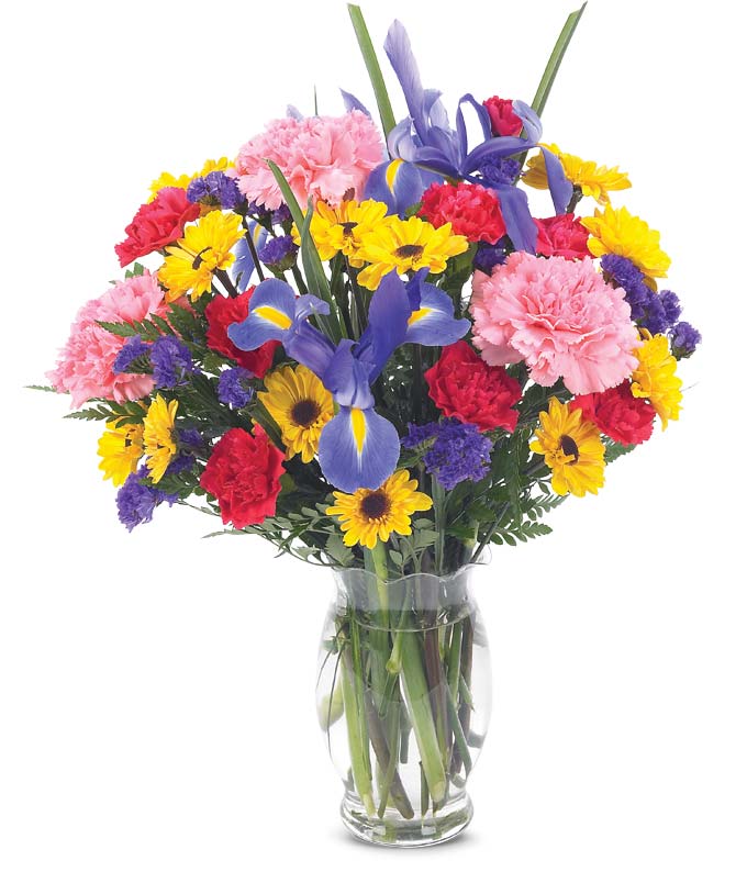 Flower delivery with pink carnations, mini red carnations and blue irises. 