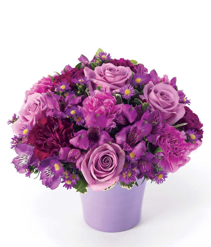 Purple roses, purple carnations and alstroemeria delivered in a purple pot