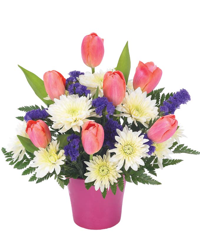 Cheap flowers for delivery with Pink tulips and white cushion poms in pink cache pot