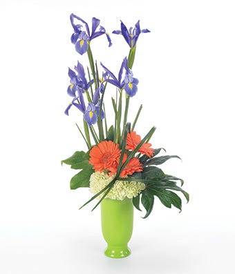 Iris Medley