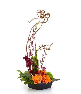 Harmony, Serenity & Style