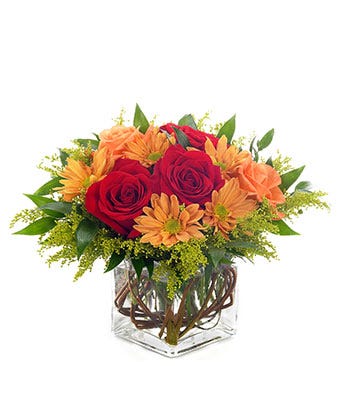 Red roses with orange daisies in a square vase