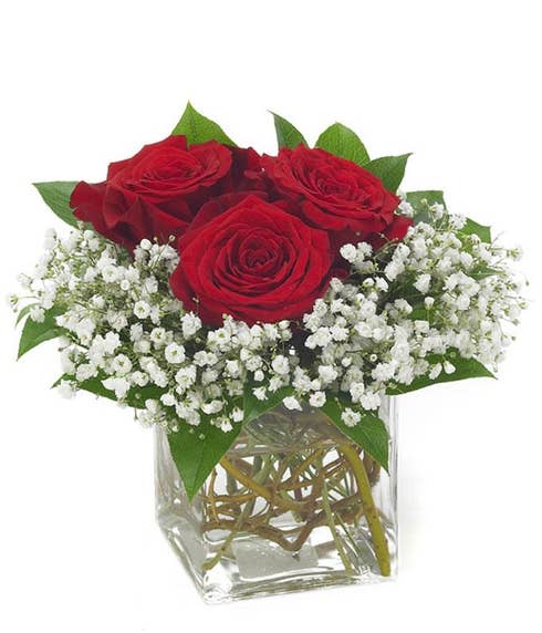 Three red roses in square vase with monte casino, cheap Valentine's roses