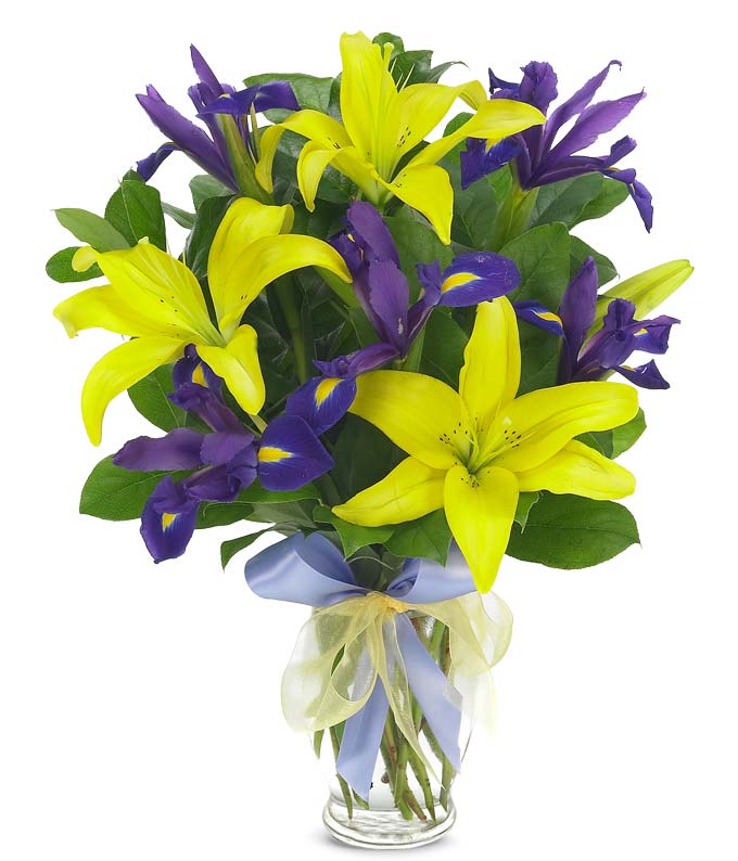 Blue iris with yellow lilies in a glass vase with ribbon for delivery
