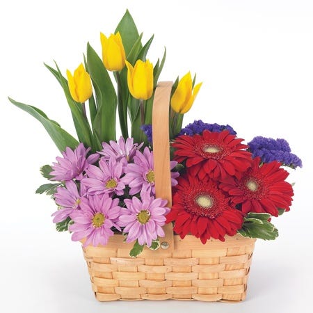 Happy Birthday Garden 