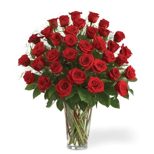 Premium 4 Dozen Red Roses