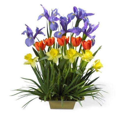 Salute to Spring