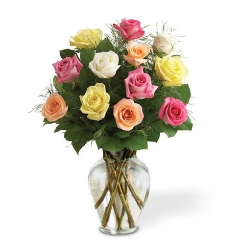 Rose Elegance - Assorted 	