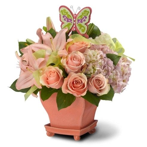 Garden of Love