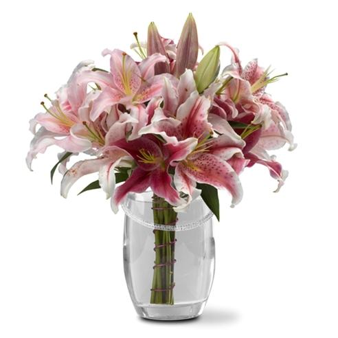 Make a Wish Stargazer Lily Bouquet 