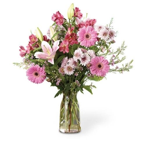 Pink gerbera daisies, pink alstroemeria and waxflower delivered in glass vase