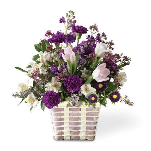 Purple Passion