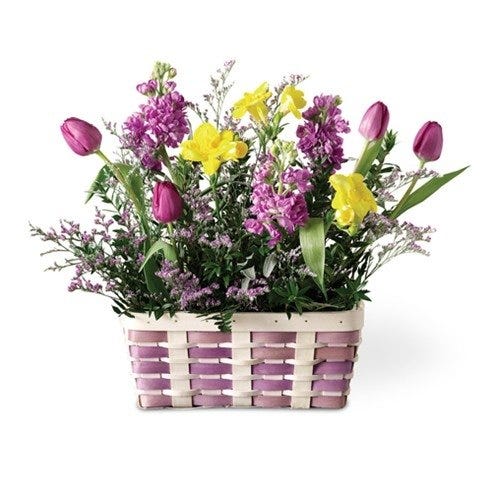 Spring Splendor