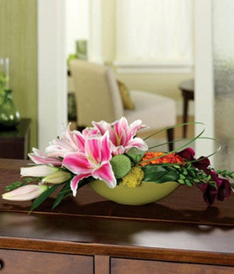 Lily Pond Pleasure