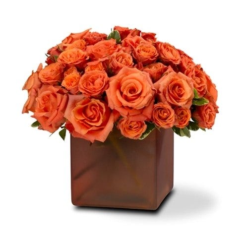 Opulent Orange Roses
